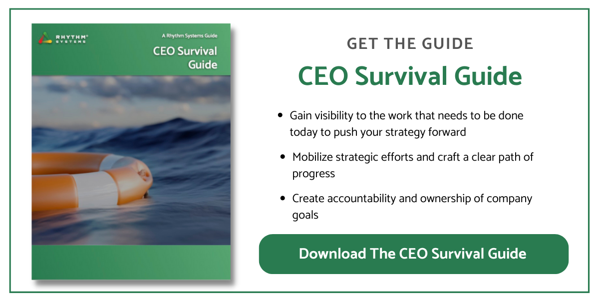 CEO Survival Guide